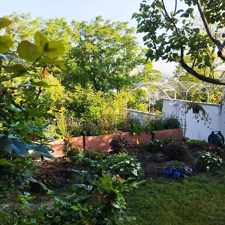 La Maison Du Coteau Bed & Breakfast